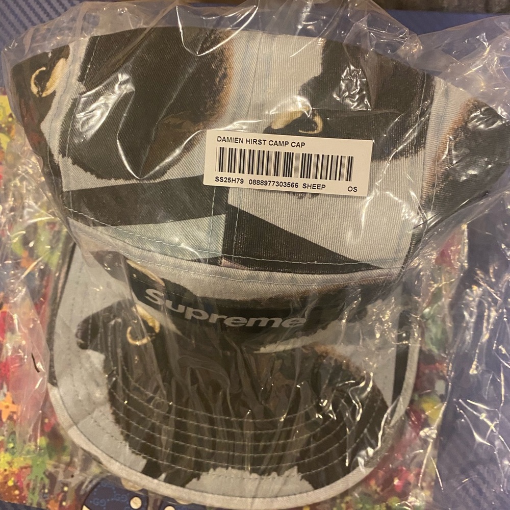 Supreme Damien Hirst Camp Cap - Picture 5 of 6